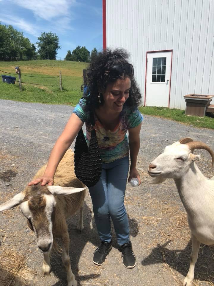 Phoebe with goats