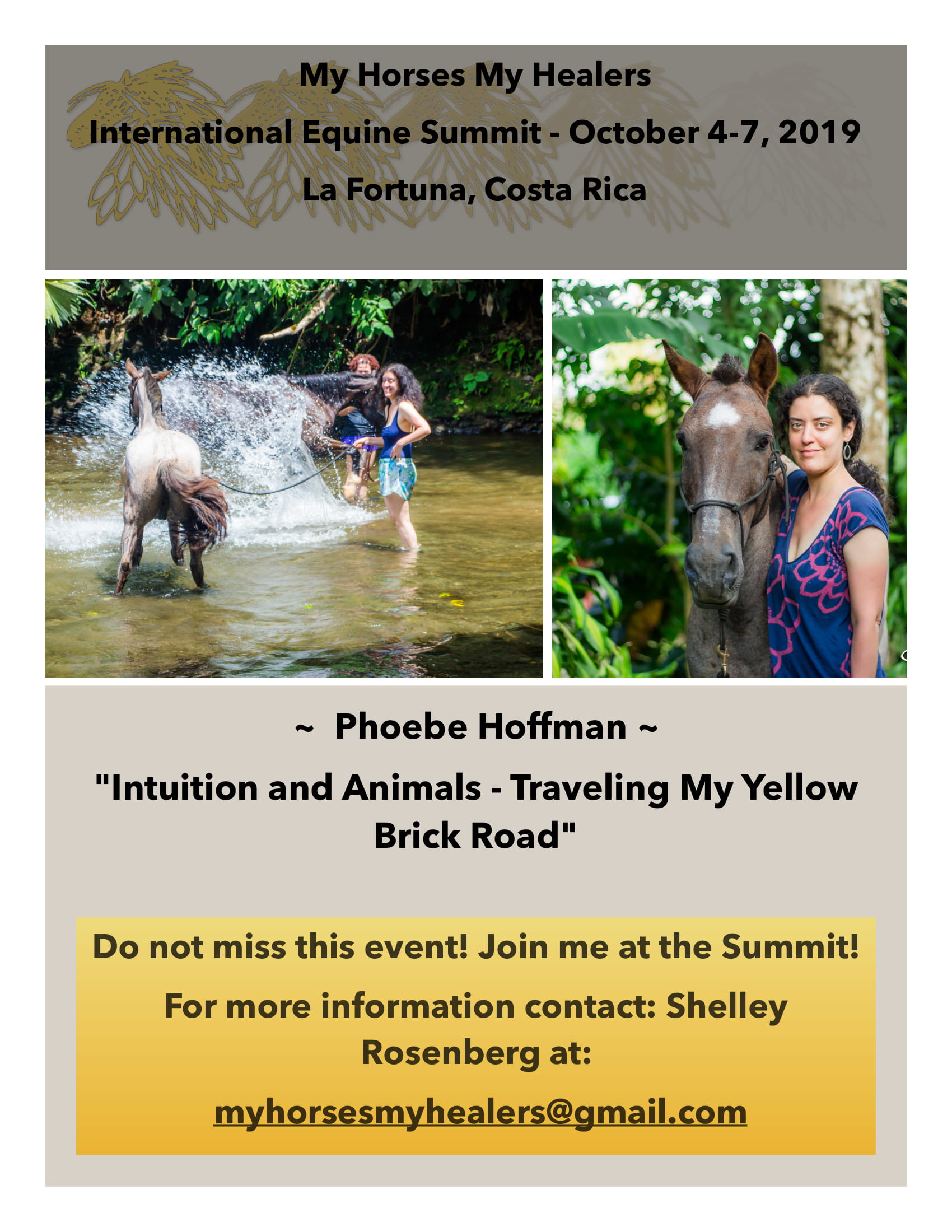 Phoebe Hoffman - Yellow Brick Road - 2019 Summit flyer -1 (1)