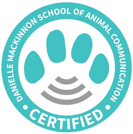 DM certification seal